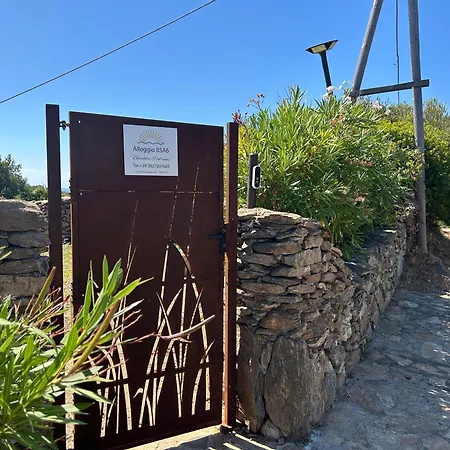 Bsa6 * Isolotto dei Pedrami